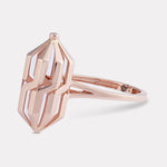 Load image into Gallery viewer, MTR-D8-COUG499-410-47-RNG