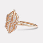 Load image into Gallery viewer, MTR-D8-COUG499-410-48-RNG